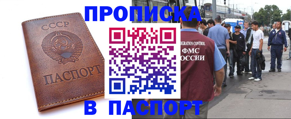 временная регистрация поиск в Александрове
